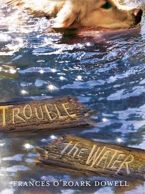 cover image of Trouble the Water